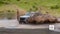 2026 Nissan Frontier XE TM